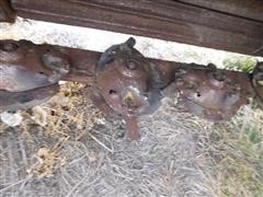 DSCN0385.JPG