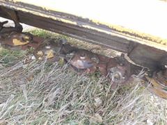 DSCN0396.JPG