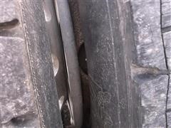 DSCF7350.JPG