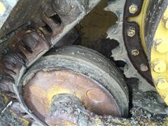 IMG_5916.JPG