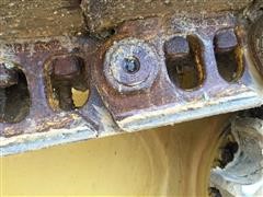 IMG_5920.JPG