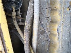 IMG_5937.JPG