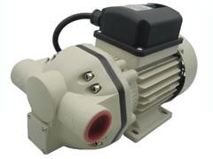 Chemcial Transfer Pump 