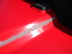 DSCN0533.JPG