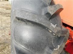 DSCN0046.JPG