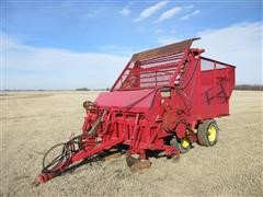 Bermuda King 387 Sprig Planter 