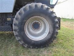 IMG_5406.JPG