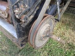 IMG_5410.JPG