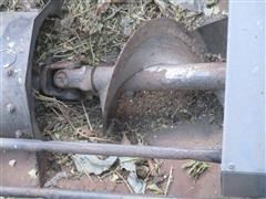 IMG_5443.JPG