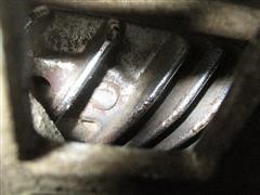 IMG_5975.JPG