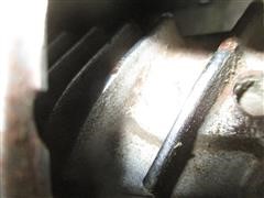 IMG_5976.JPG