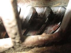 IMG_5978.JPG