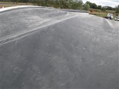 DSCF6168.JPG