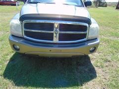 DSC00380.JPG