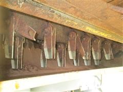 IMG_1557.JPG