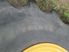IMG_1568.JPG