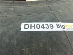 DSCN0553.JPG