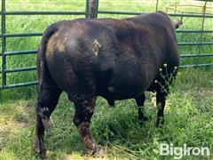 IMG_2503.JPEG
