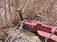 DSC01013.JPG