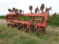 Taylor-Way 8R36" Cultivator 