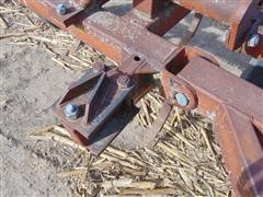 DSC02137.JPG