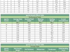 Ingenity Scoring System.JPG