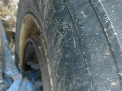 DSCN7558.JPG