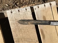 IMG_7919.JPG