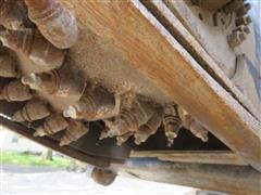 IMG_6071.JPG