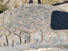 20170912_112151.jpg