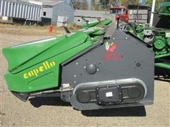 IMG_5298.JPG