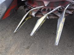 DSCF4274.JPG