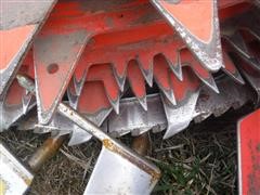DSCF4579.JPG