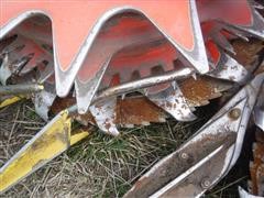DSCF4580.JPG