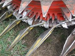 DSCF4585.JPG