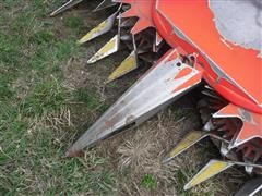 DSCF4590.JPG