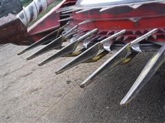 DSCF4269.JPG