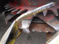DSCF4272.JPG