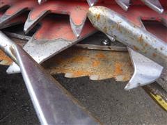 DSCF4273.JPG