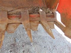 DSC00431.JPG
