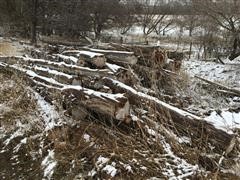 Cedar Logs 