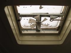 IMG_6109.JPG