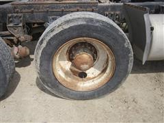 IMG_5728.JPG
