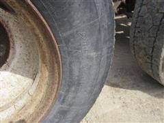 IMG_5730.JPG