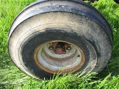 IMG_9236.JPG