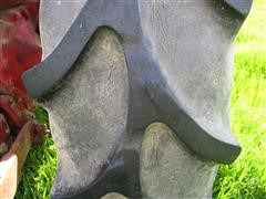 IMG_9252.JPG