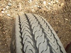 IMG_2904.JPG
