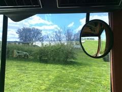 IMG_6345.JPG