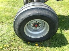 IMG_6225.JPG
