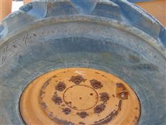 DSC01937.JPG